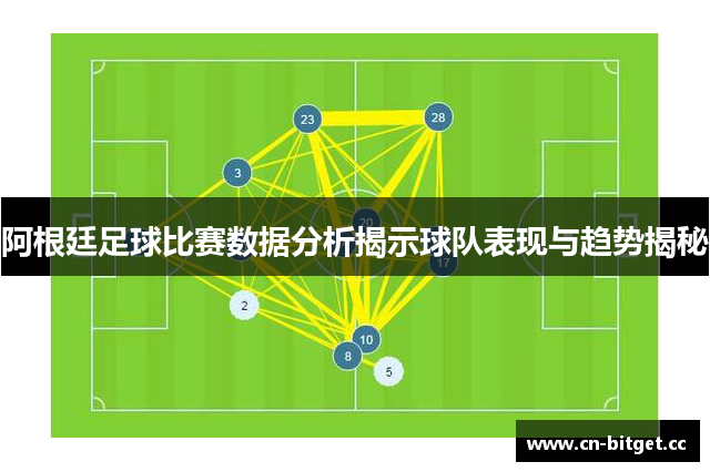 阿根廷足球比赛数据分析揭示球队表现与趋势揭秘