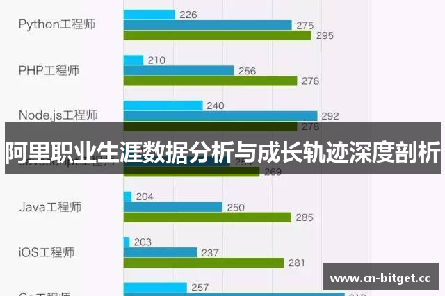 阿里职业生涯数据分析与成长轨迹深度剖析