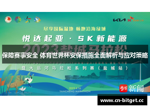 保障赛事安全 体育世界杯安保措施全面解析与应对策略