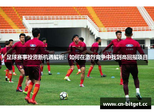 足球赛事投资新机遇解析：如何在激烈竞争中找到高回报项目