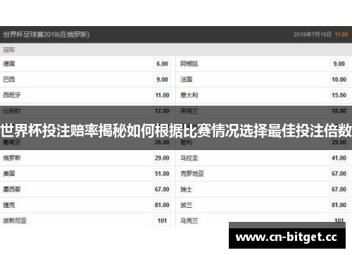 世界杯投注赔率揭秘如何根据比赛情况选择最佳投注倍数