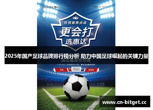 2025年国产足球品牌排行榜分析 助力中国足球崛起的关键力量